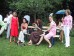 bilder/tn_best_ 090.jpg